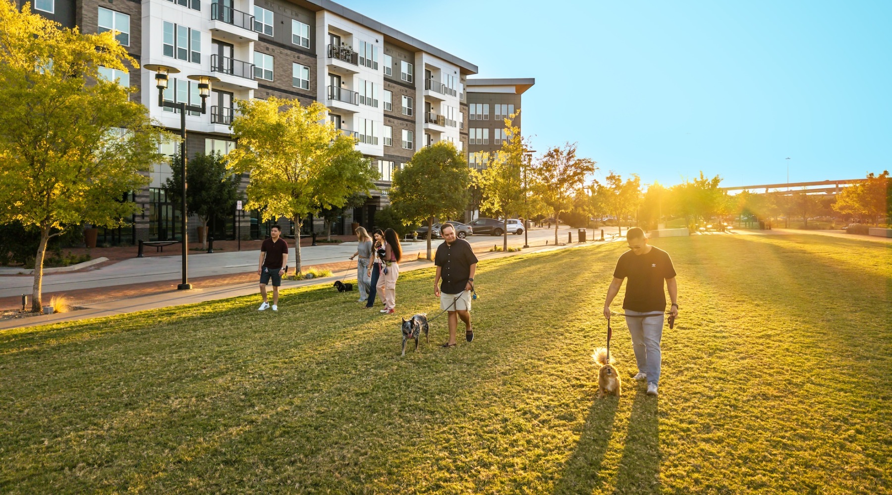 Exceptional from Every Angle