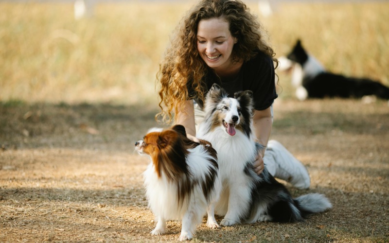 Pet Park and Open Spaces