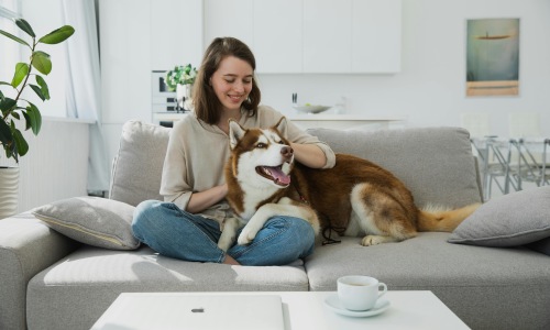 Pet-Friendly Living: Apartment Essentials for Pet Owners