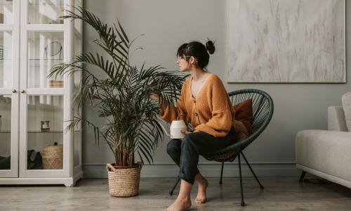 How Houseplants Can Transform Your Apartment Living Experience  at EVIVA Trinity Mills Station